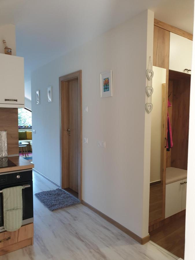 Borovets Cozy Mountain Apartments 外观 照片