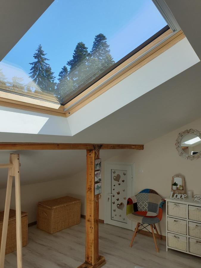 Borovets Cozy Mountain Apartments 外观 照片