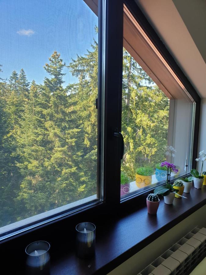 Borovets Cozy Mountain Apartments 外观 照片
