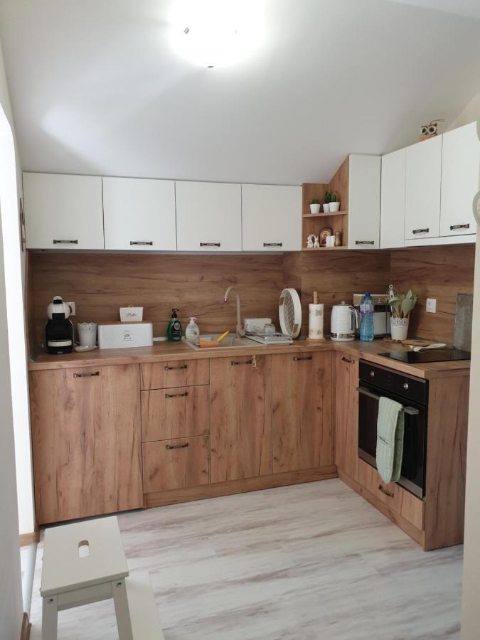 Borovets Cozy Mountain Apartments 外观 照片