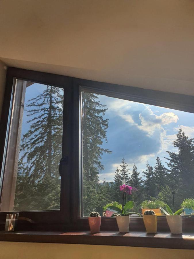 Borovets Cozy Mountain Apartments 外观 照片